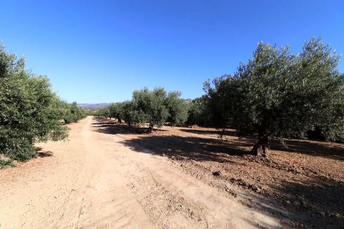 Finca rústica en venta en Alhaurín El Grande
