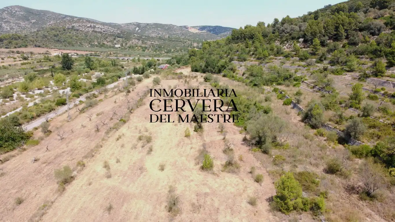 Terreno rustico in vendita a Cervera del Maestre, imagen 3