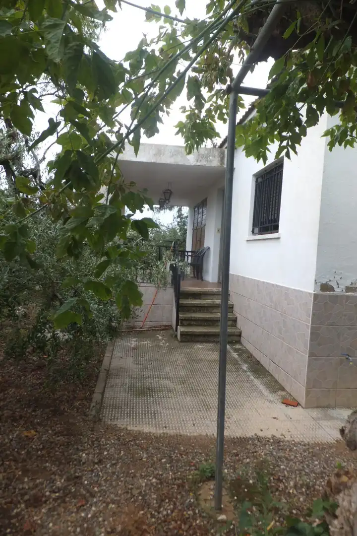 Terreno rústico en venta en Riudoms, imagen 11