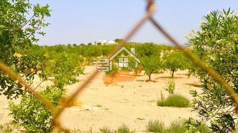 Foto 5 de Finca rústica en venda a Vélez-Blanco, Almería