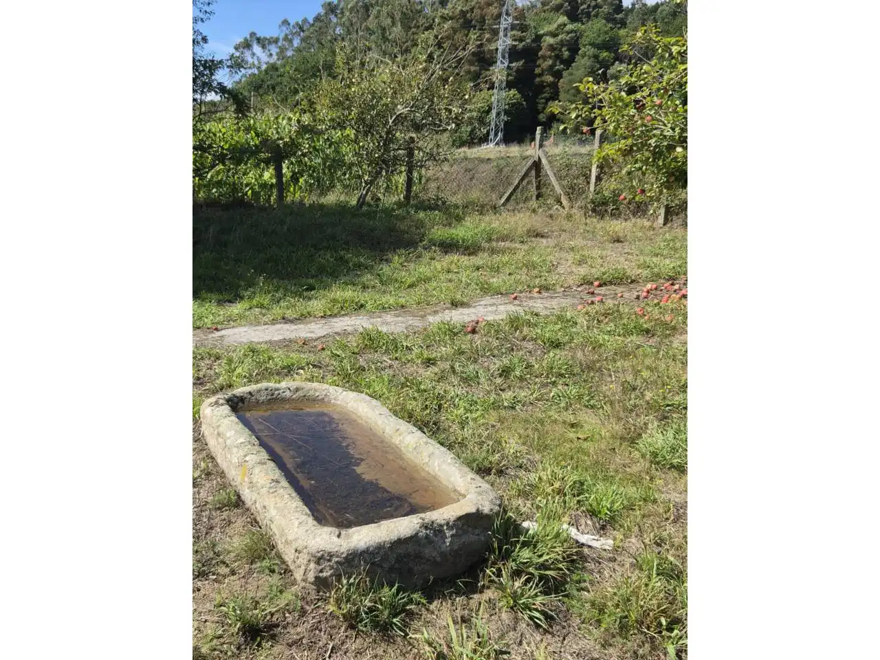 Country homes for sale in Rois  with Private garden, Furnished and Alarm
