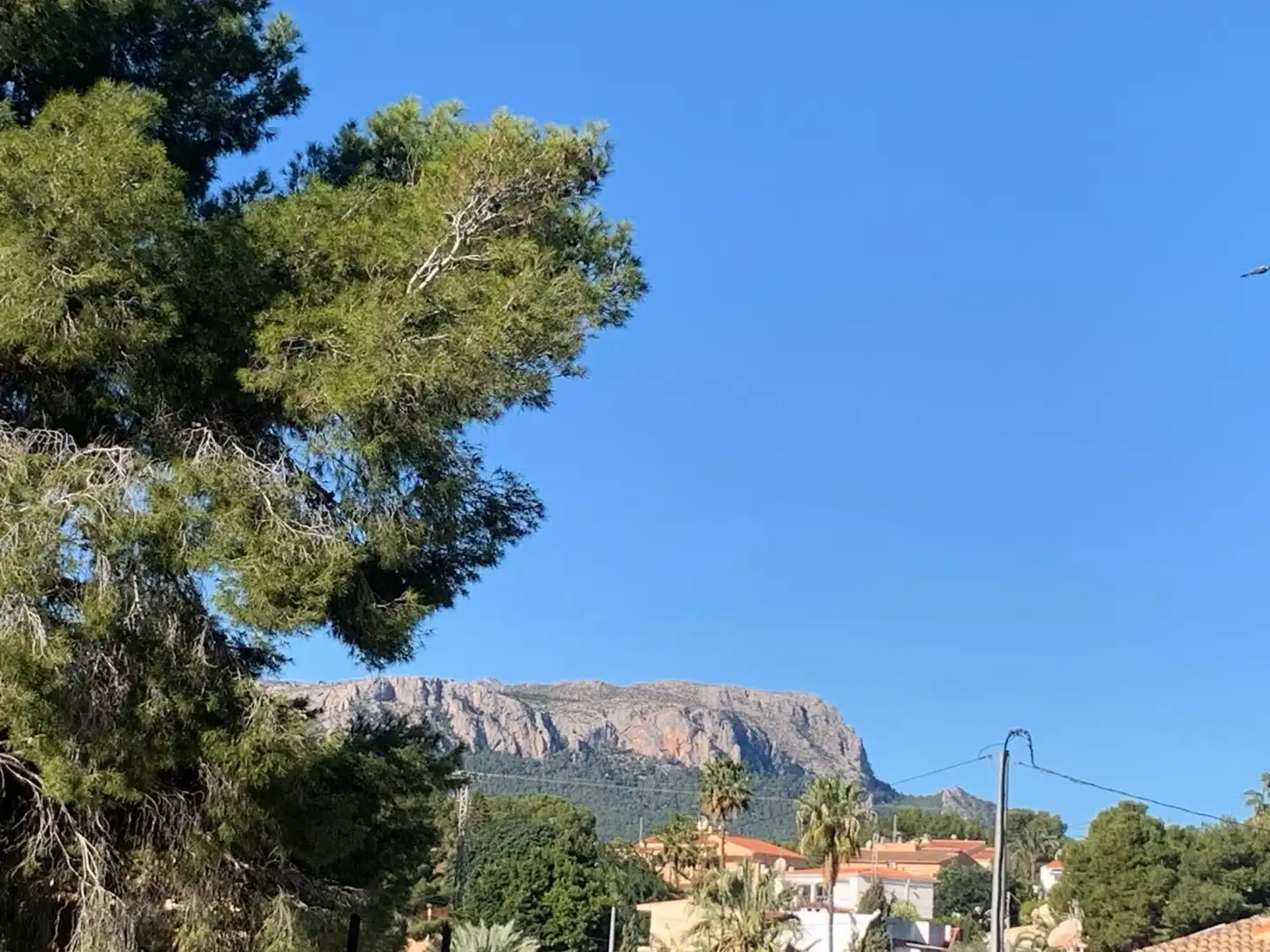 Casa con terraza en venta en Urbanizacion Los Pinos, imagen 8