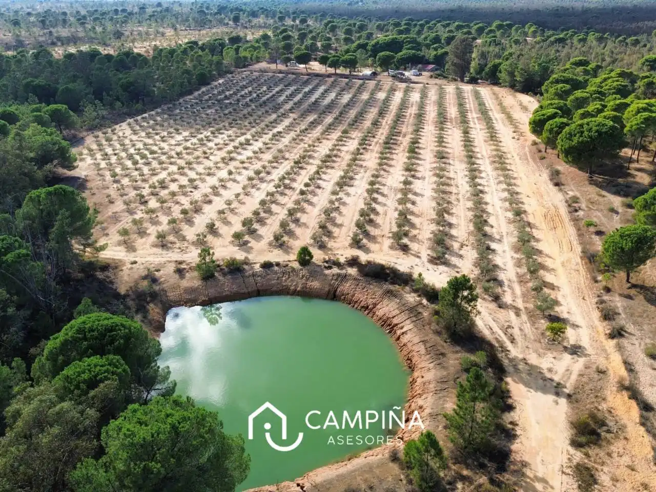 Terrain rustique à vendre à Via Verde los Molinos de Agua, imagen 2
