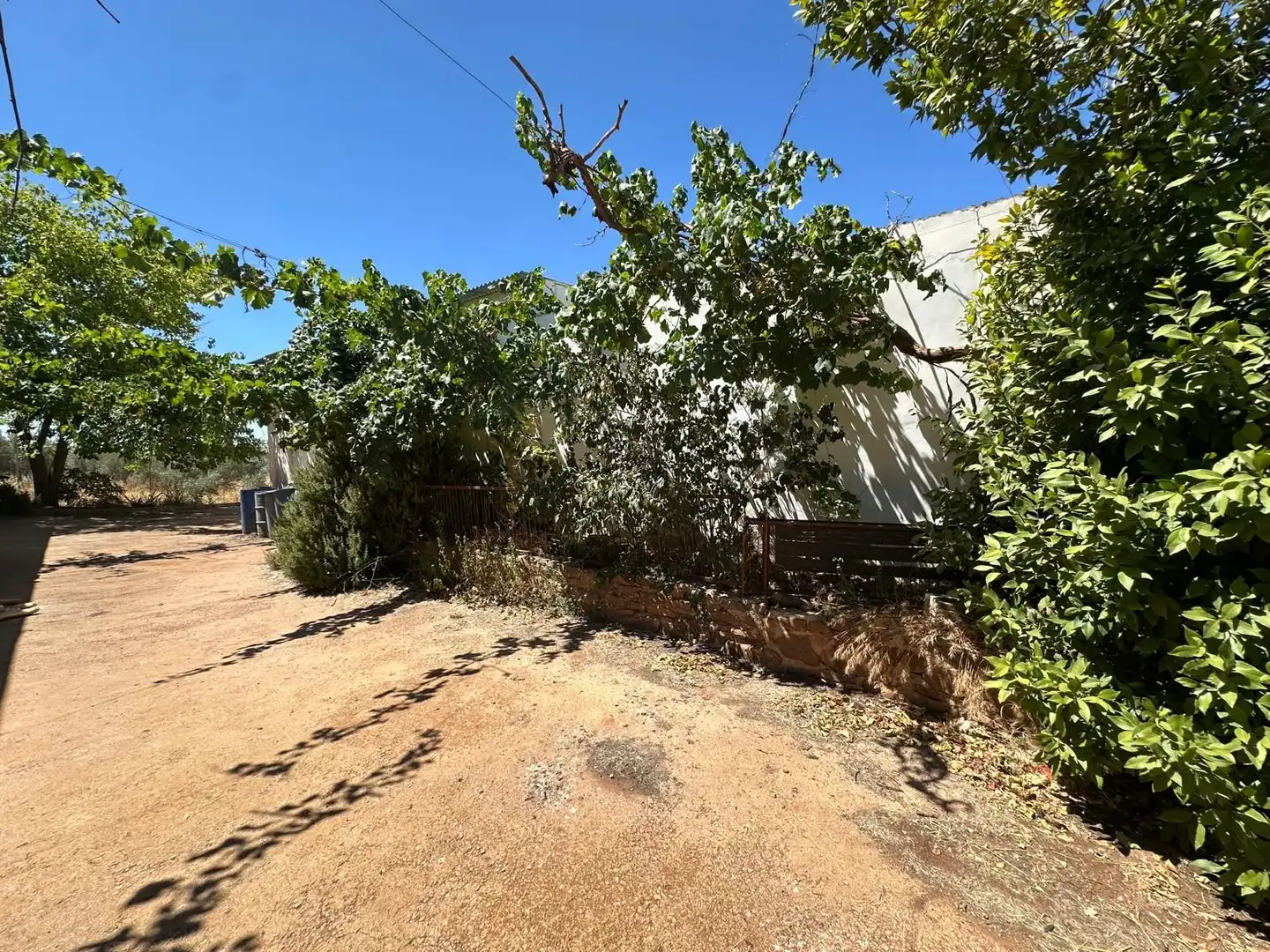 Rural land for sale in Carretera Valdepeñas-Ciudad Real, imagen 70