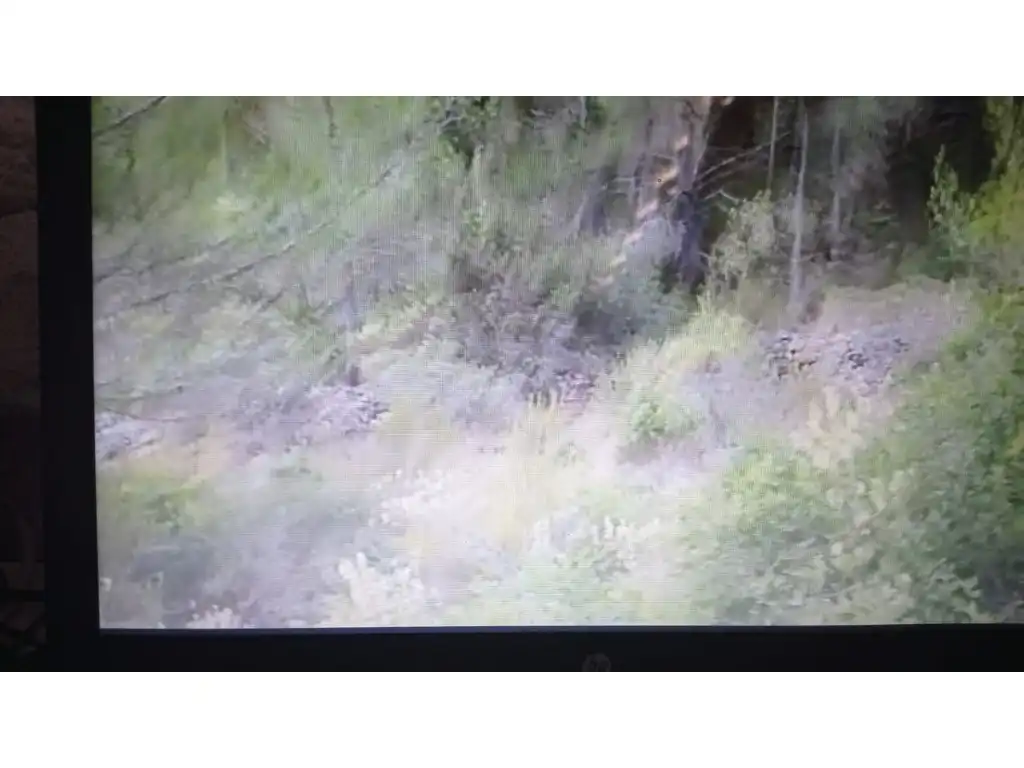 Terreny rústic en venda a Sant Antoni de Portmany, imagen 6