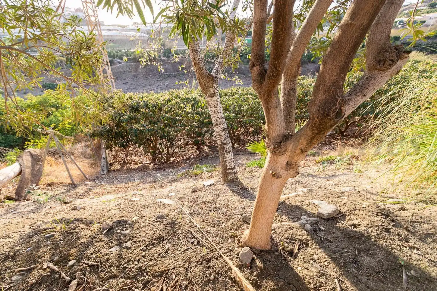Maison à vendre à Torrox Pueblo, imagen 15