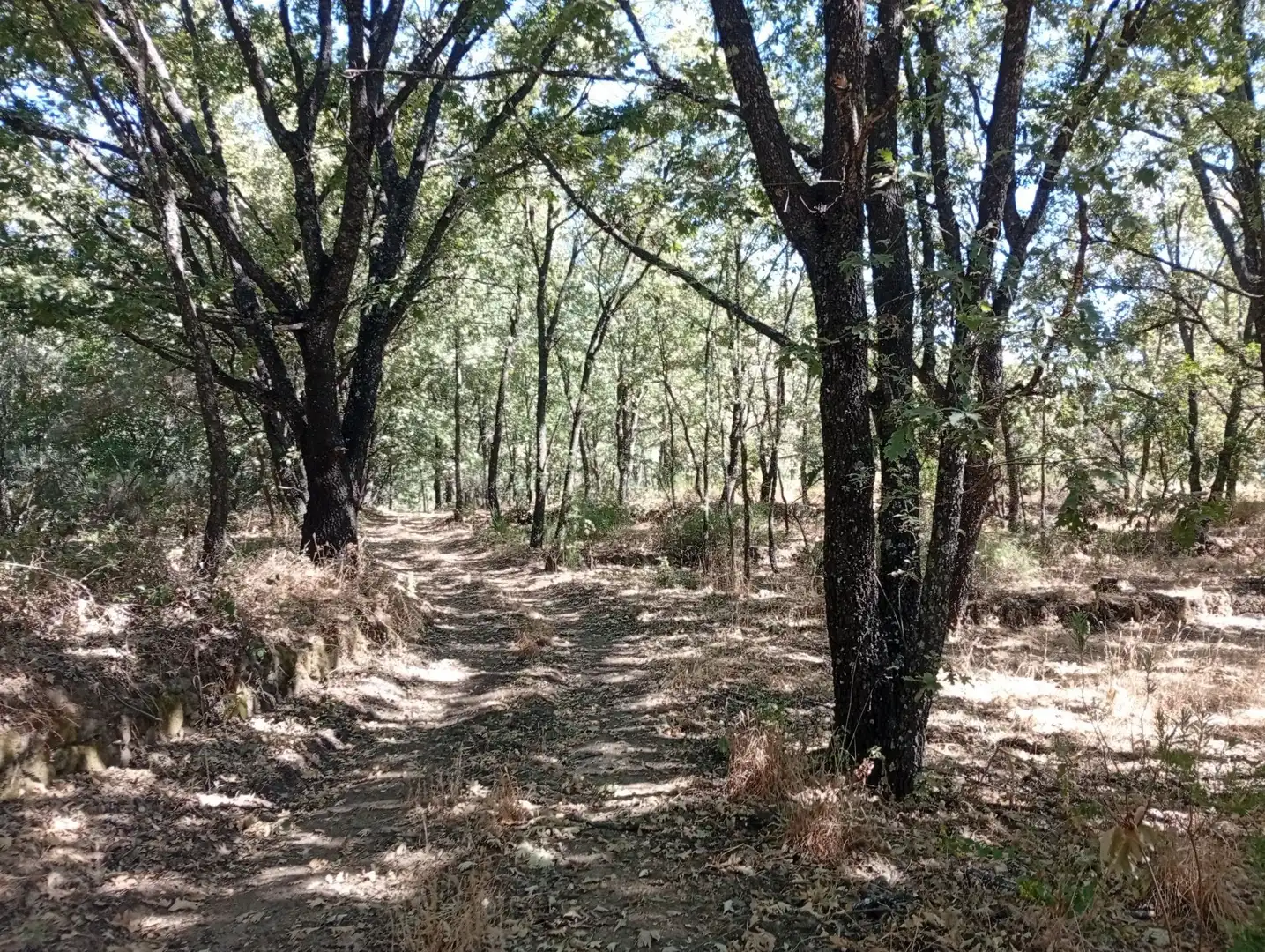 Terreni e lotti in vendita a Villanueva de la Vera, imagen 100