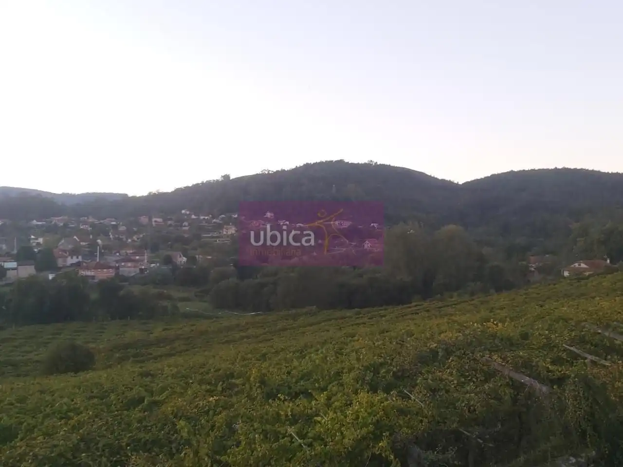 Lands and plots for sale in Salceda de Caselas, imagen 10
