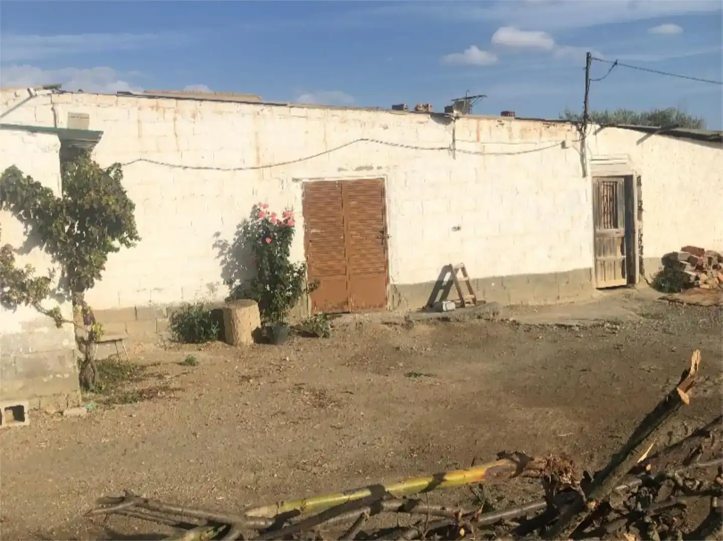 Vista exterior de Finca rústica en venda en Benalúa