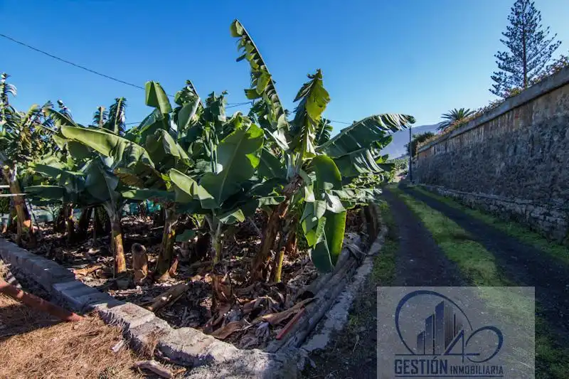 Vista exterior de Finca rústica en venta en Puerto de la Cruz