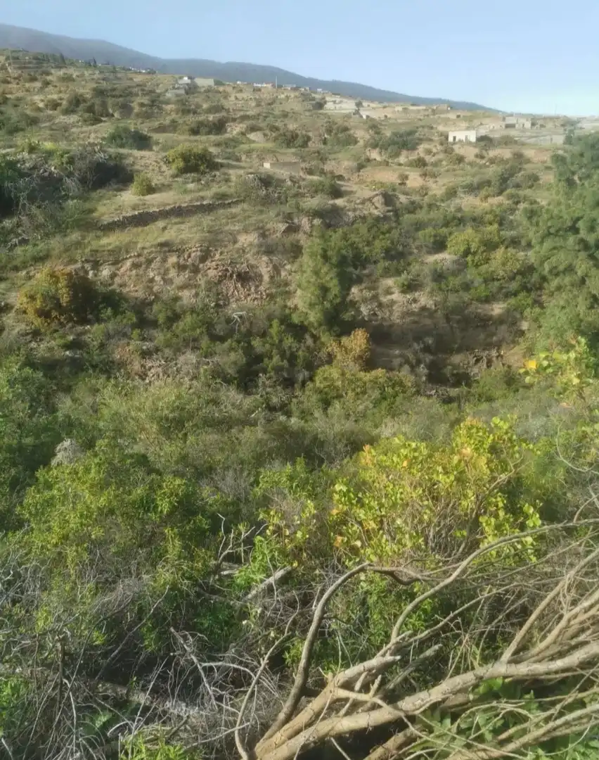 Grundstücke zum Verkauf in Santa Cruz de Tenerife