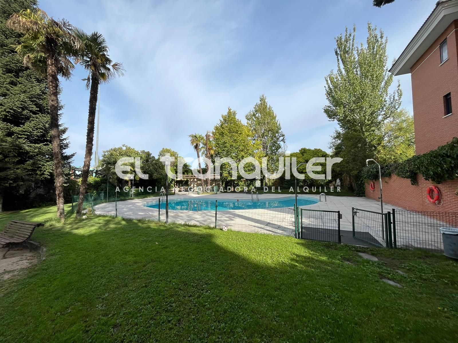 Swimming pool of Flat to rent in  Madrid Capital  with Air Conditioner, Terrace and Storage room