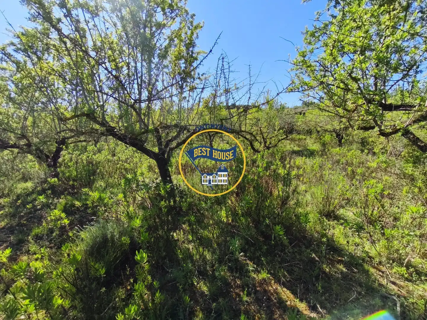 Terreno rustico in vendita a Albaida, imagen 7