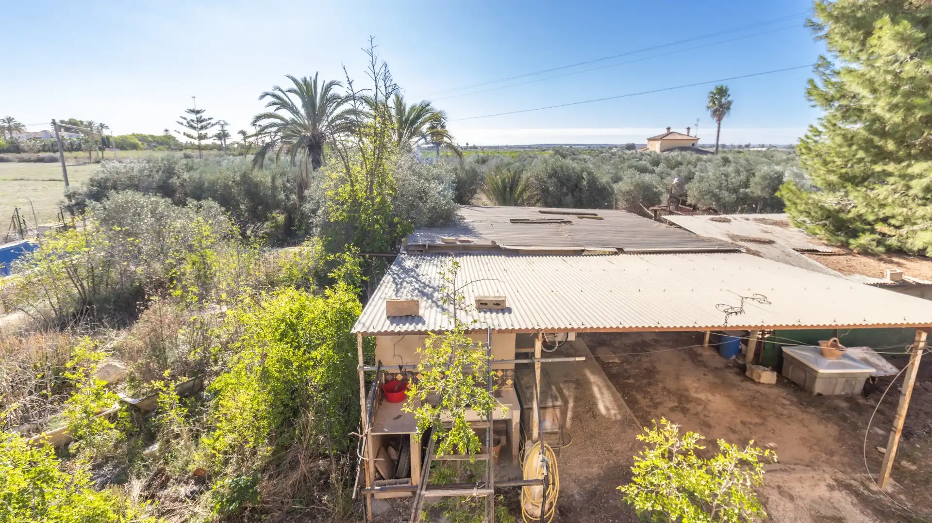 Jardín de Casa o chalet en venta en Elche / Elx con Trastero y Piscina