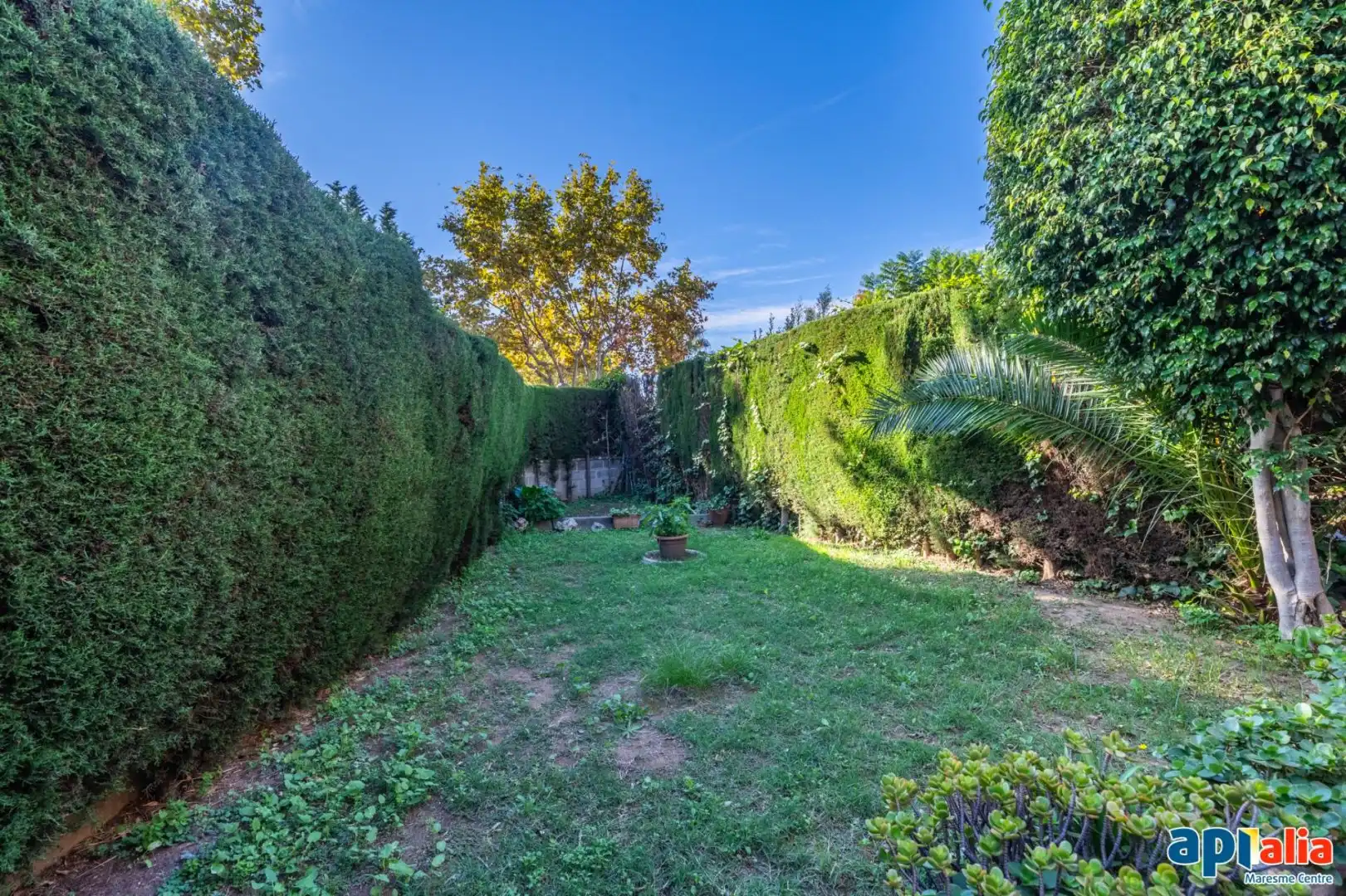 Casa o xalet en venda a Califòrnia - Santa Madrona