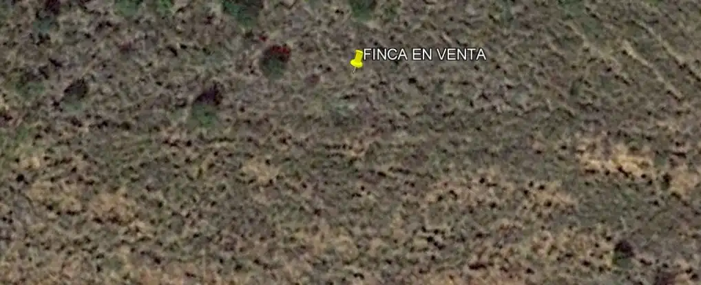 Terreno rustico in vendita a Torreblanca