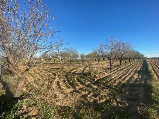 Terreno rústico en venta en Ue-7 22X, imagen 9