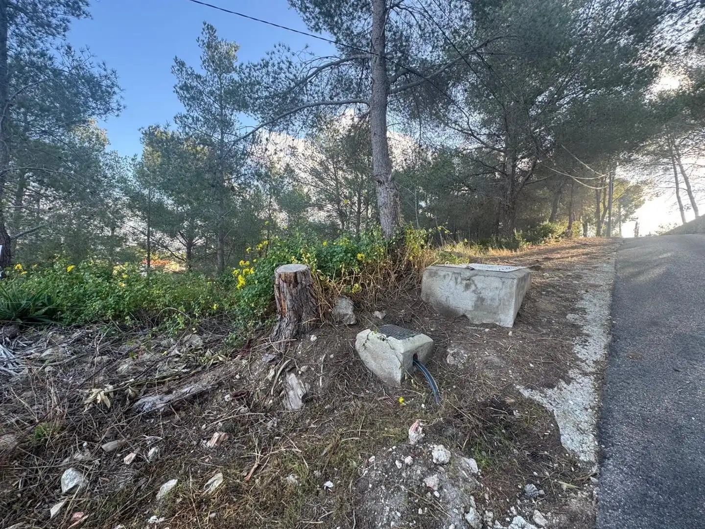 Terreno rustico in vendita a Carrer del Ter, 113 113, imagen 5