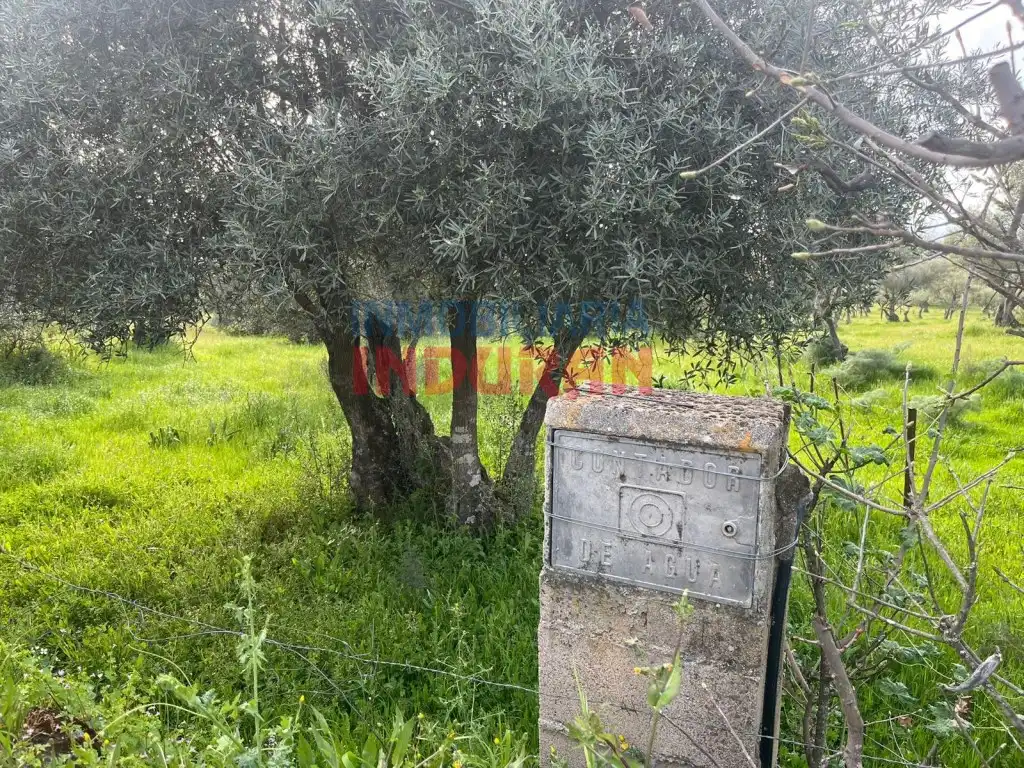 Finca rústica en venta en Millanes