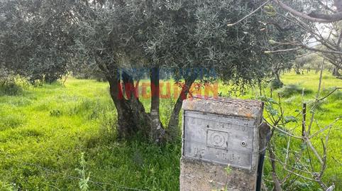 Photo 5 of House or chalet for sale in N/a, Millanes, Cáceres