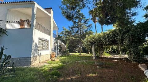 Mansión de 1971 en la ciudad de Benicarló, en venta, image 3