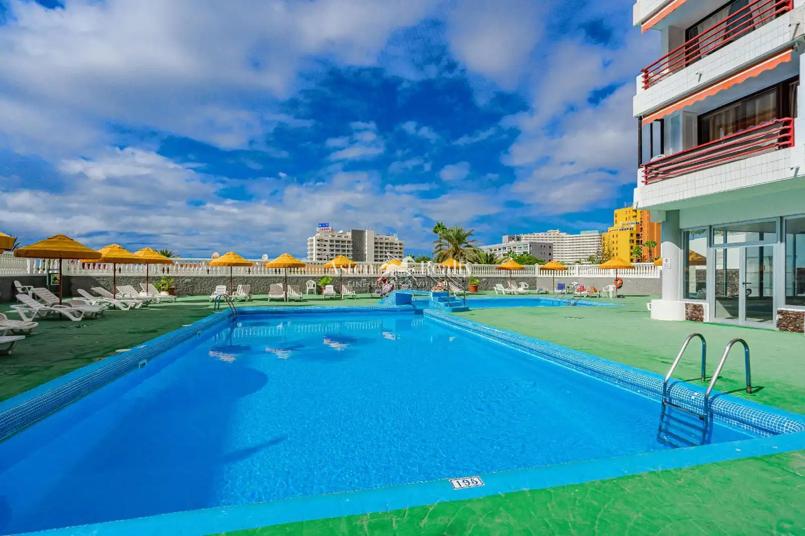 Swimming pool of Study for sale in Adeje  with Terrace, Swimming Pool and Furnished