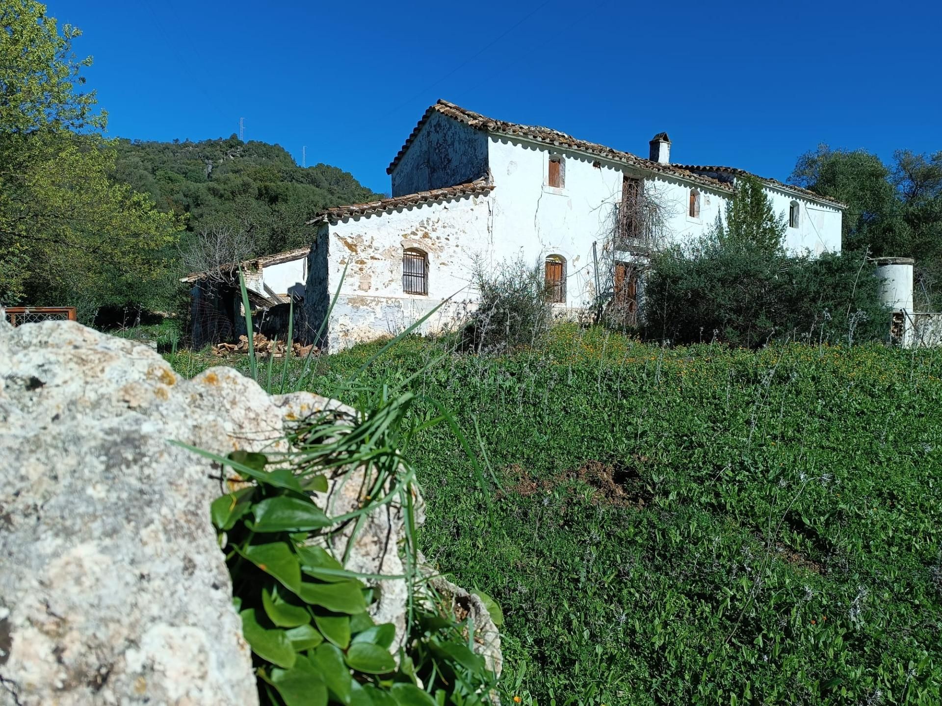 Finca rústica en venta