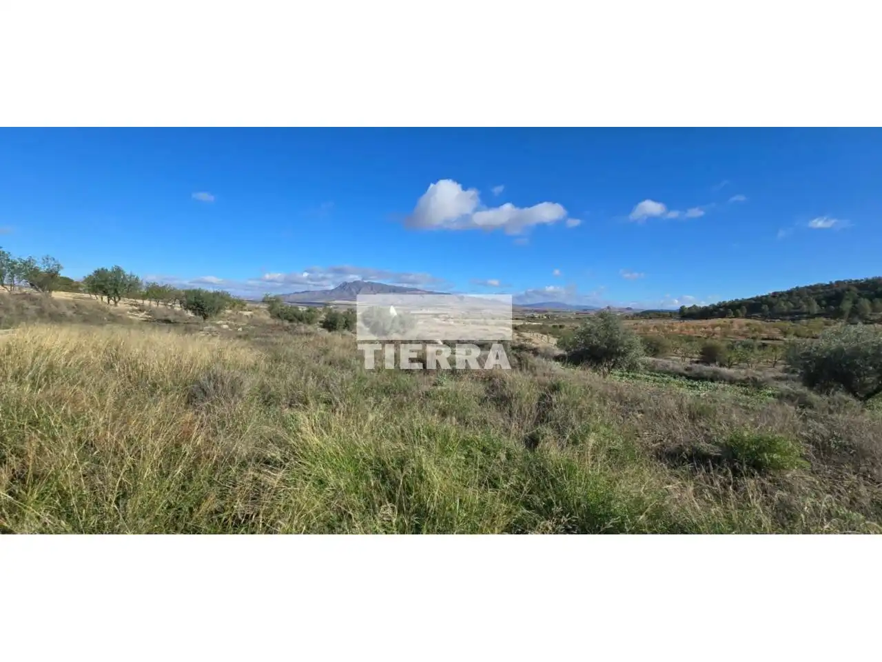 Casa en venta en Camino Casa soldado, imagen 11