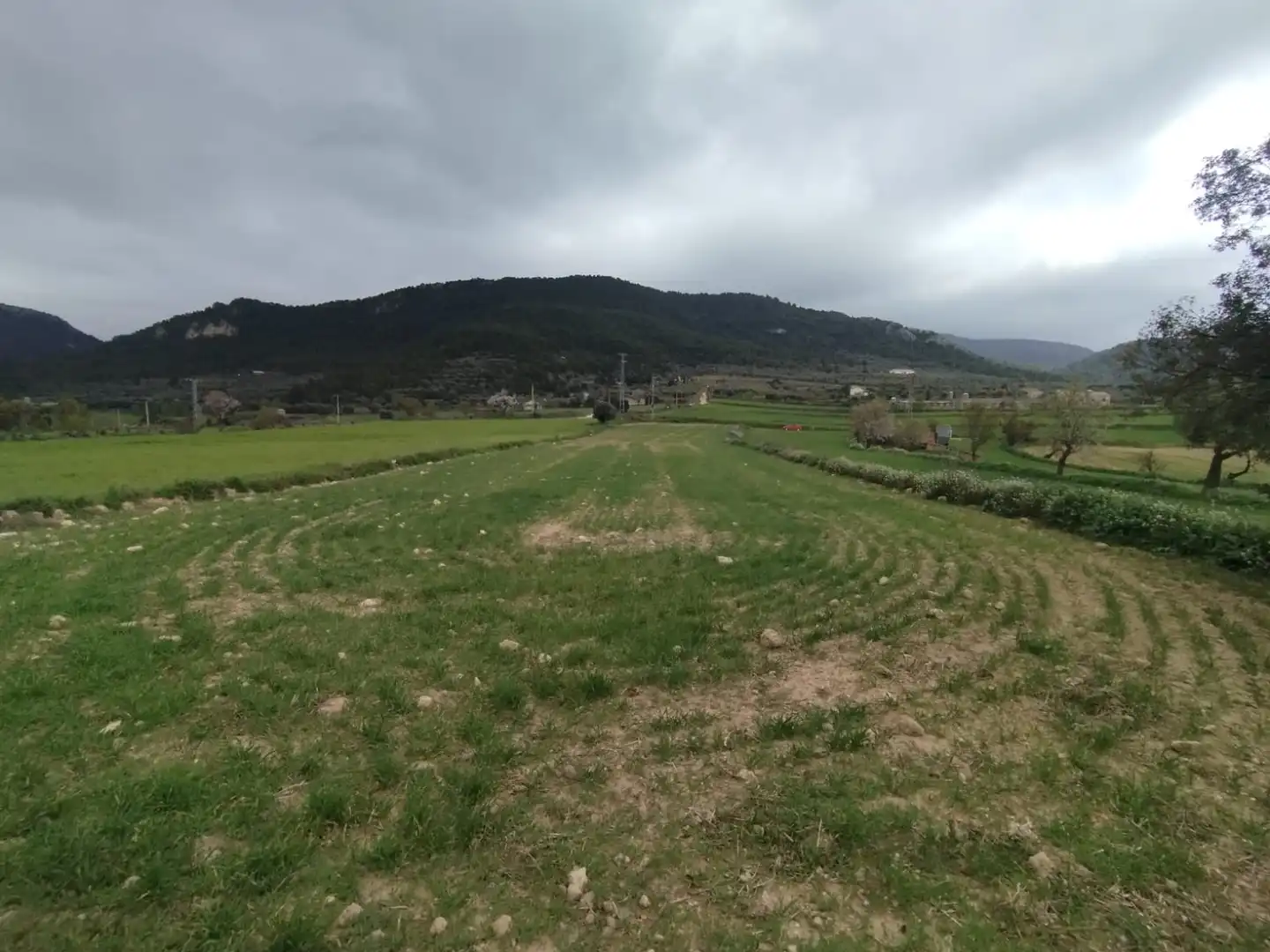 Terreni e lotti in vendita a Peñarroya de Tastavins, imagen 2