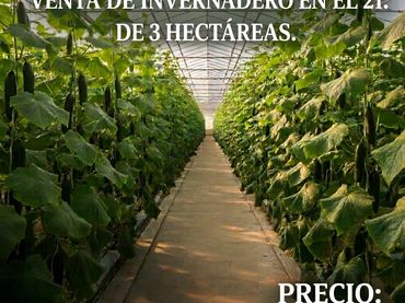 Terreno rústico en venta en AUTOVIA A7 SALIDA 758