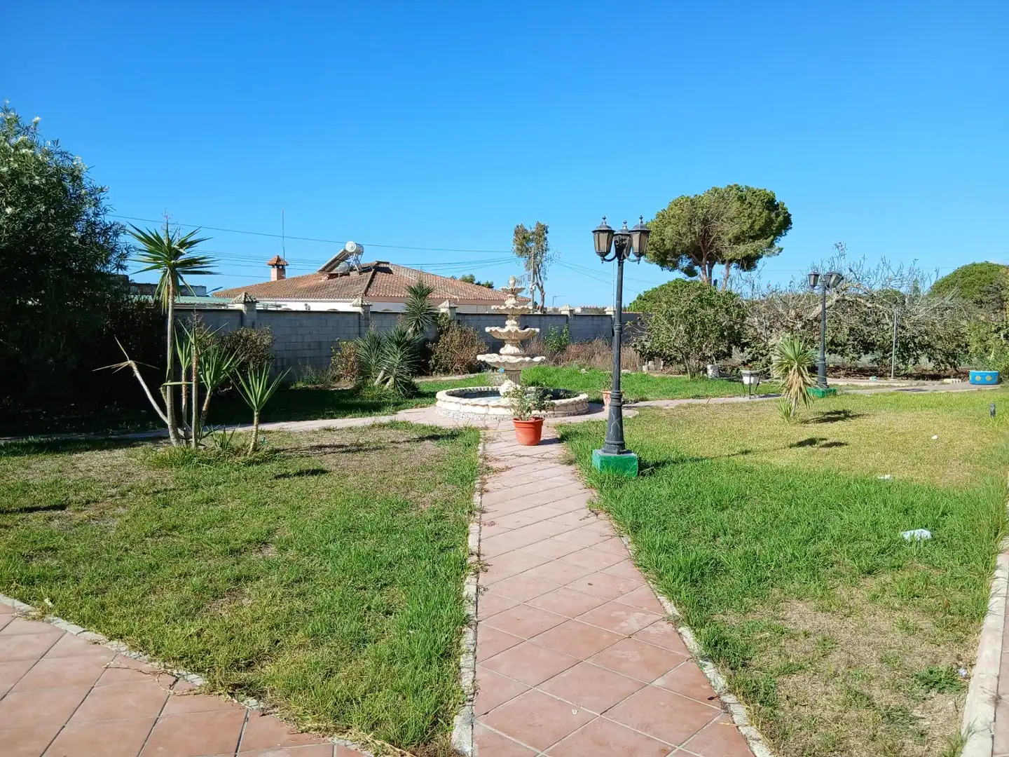 Jardín de Casa o chalet en venta en Puerto Real con Piscina