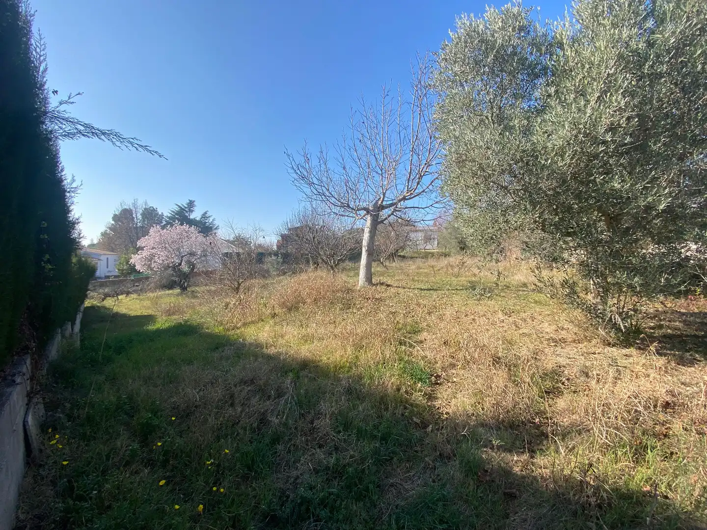 Terreny residencial en venda a Sant Antoni de Vilamajor, imagen 3