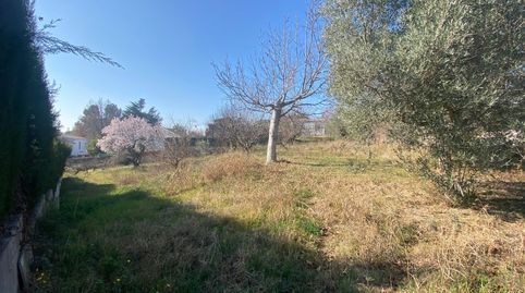 PARCEL·LA A ST.JULIÀ D'ALFOU, imatge 3