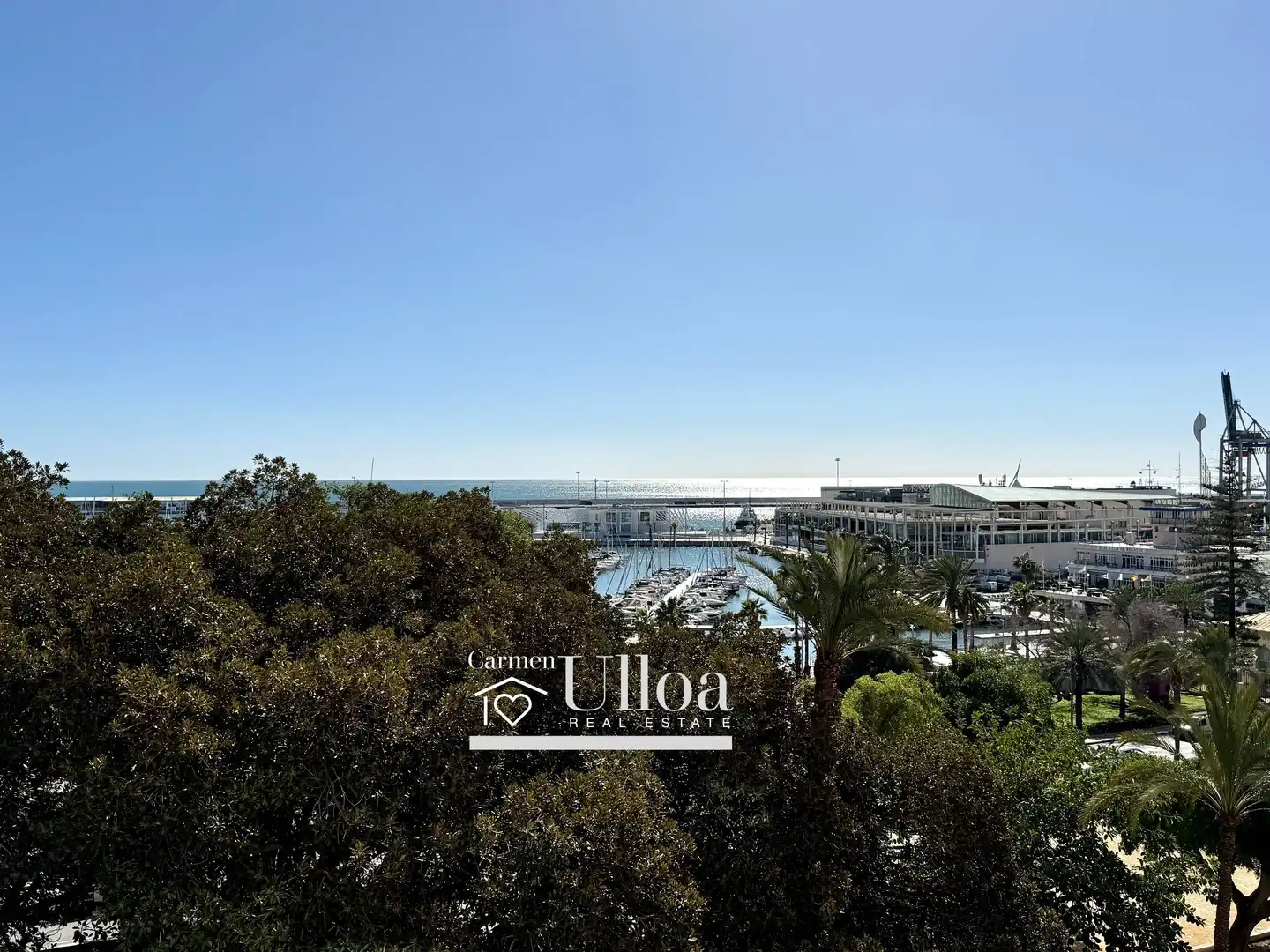 Vista exterior de Apartament en venda en Alicante / Alacant amb Aire condicionat, Calefacció i Jardí privat