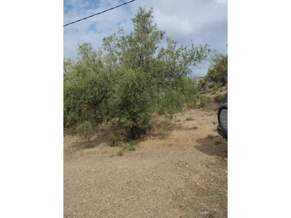 Houses for sale in Riogordo