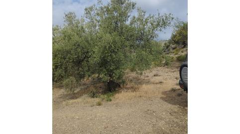 Photo 4 of House or chalet for sale in Riogordo, Málaga