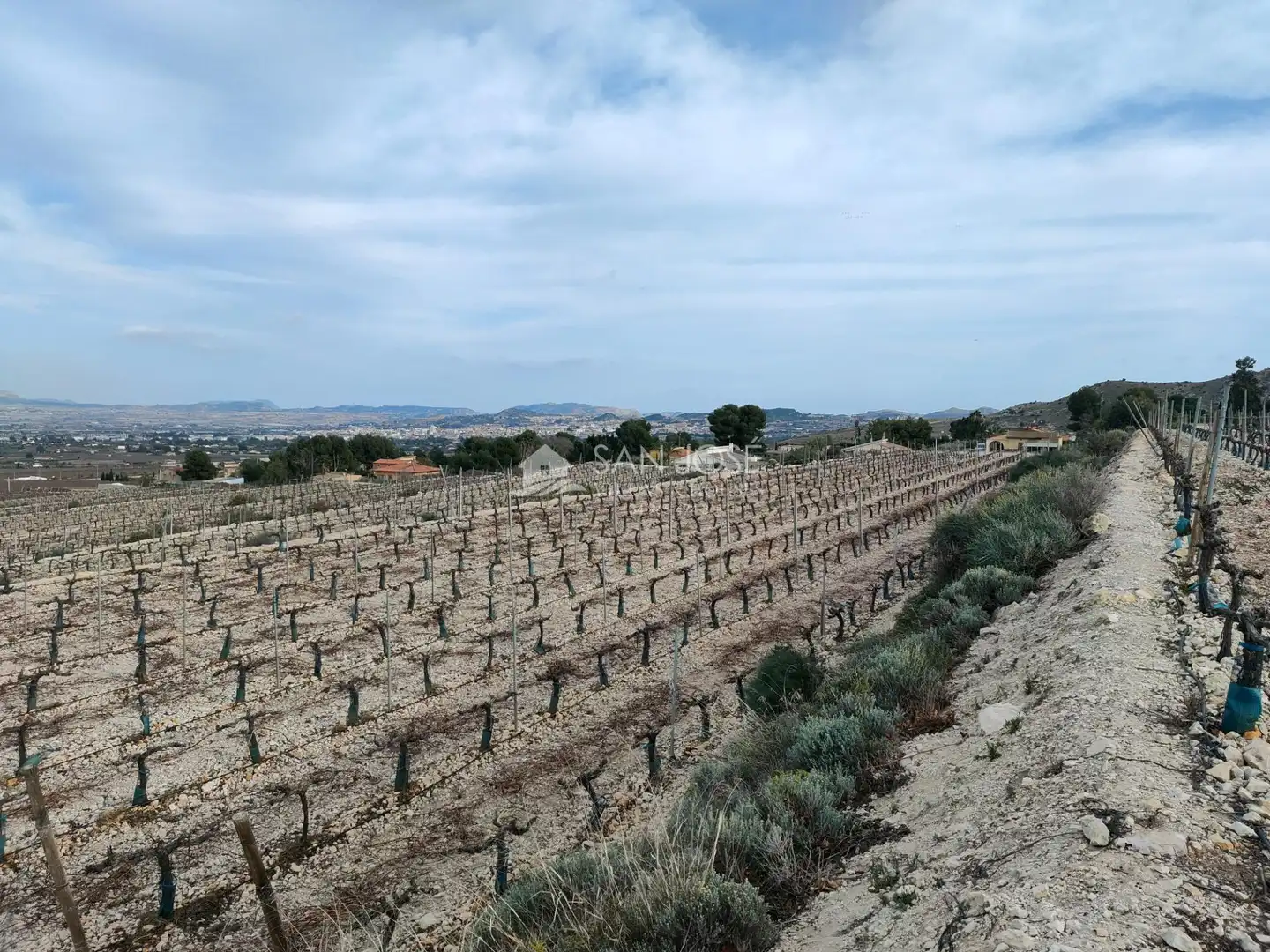 Terreno residenziale in vendita a Pedanías Oeste, imagen 6