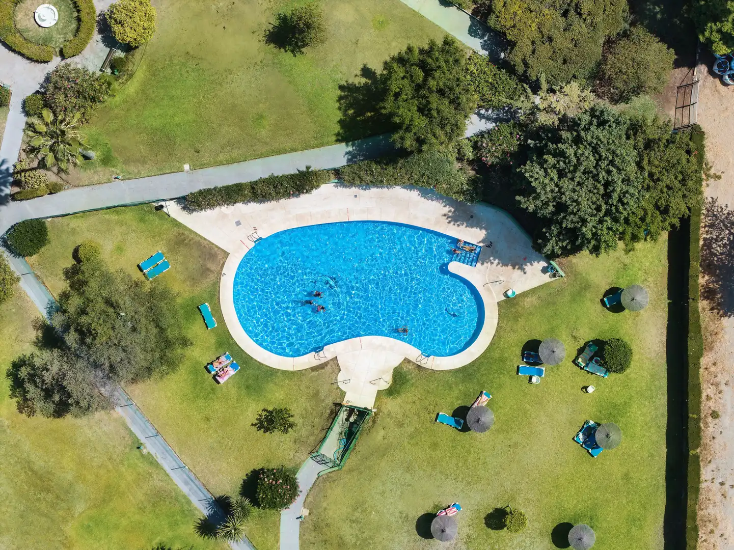 Swimming pool of Apartments for sale in Marbella  with Swimming Pool and Community pool