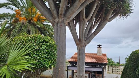 Foto 5 de Casa o chalet en venta en Calle Doctor Rodriguez Vivas, 9, Centro, La Orotava