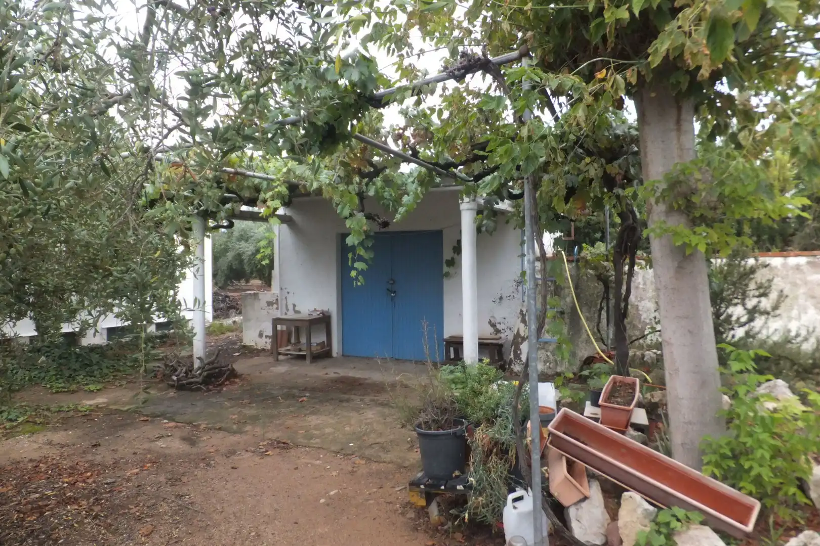 Terreno rústico en venta en Riudoms, imagen 35