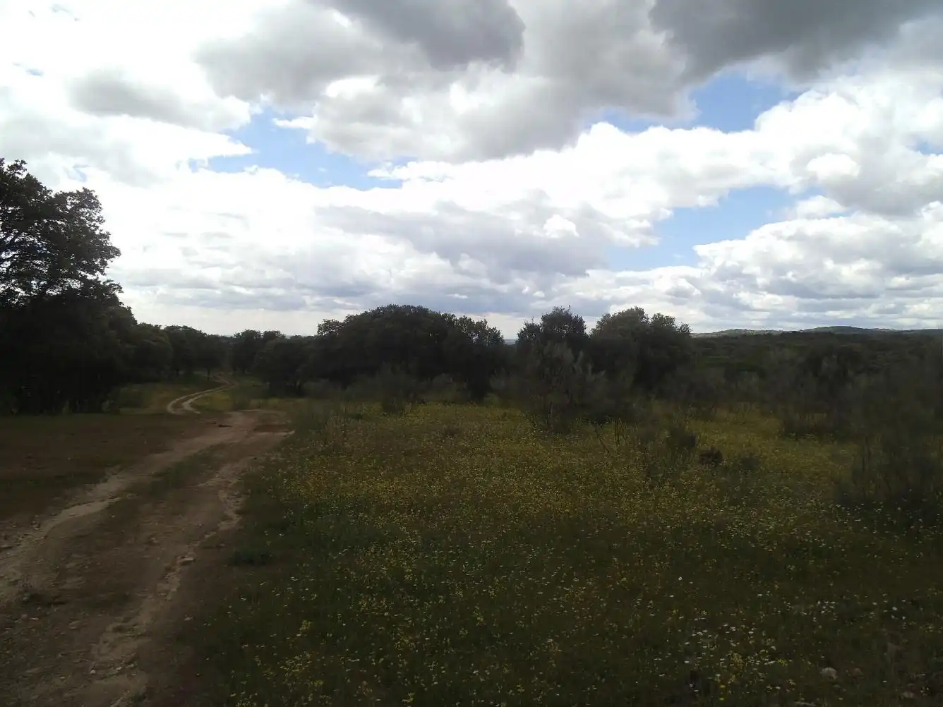 Residencial en venda en Valdemorillo