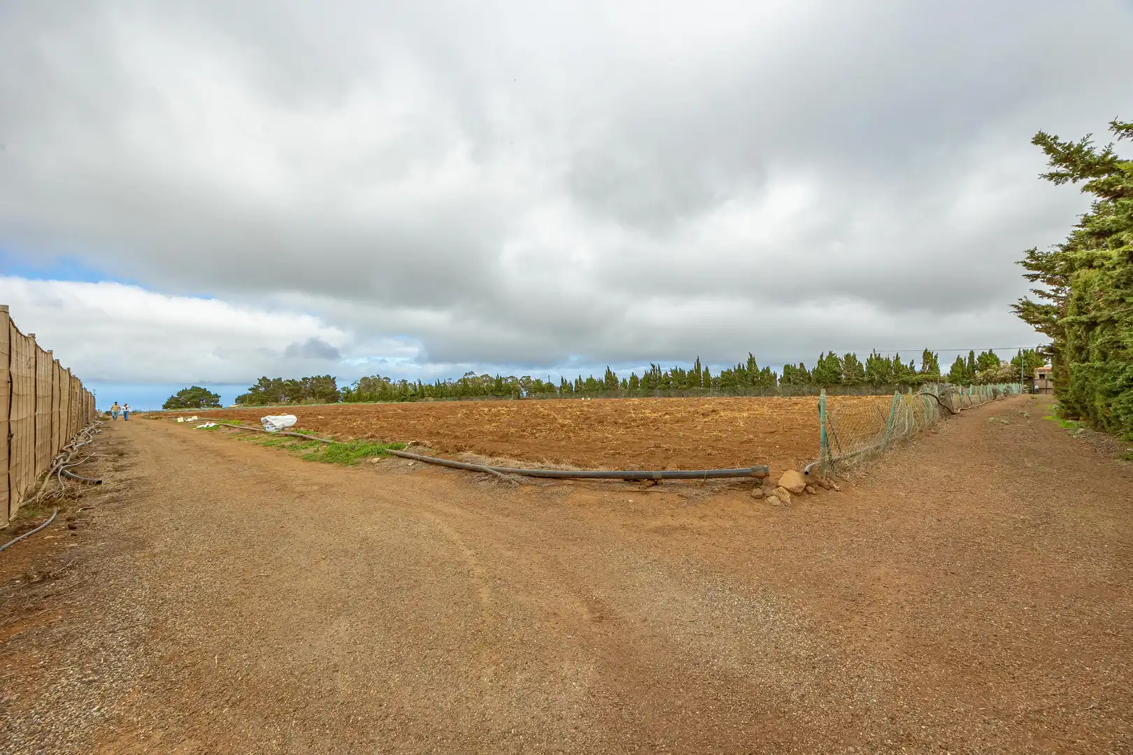 Residencial en venta en Lugar Lomo del Poleo, Saucillo - Fagajesto - Juncalillo