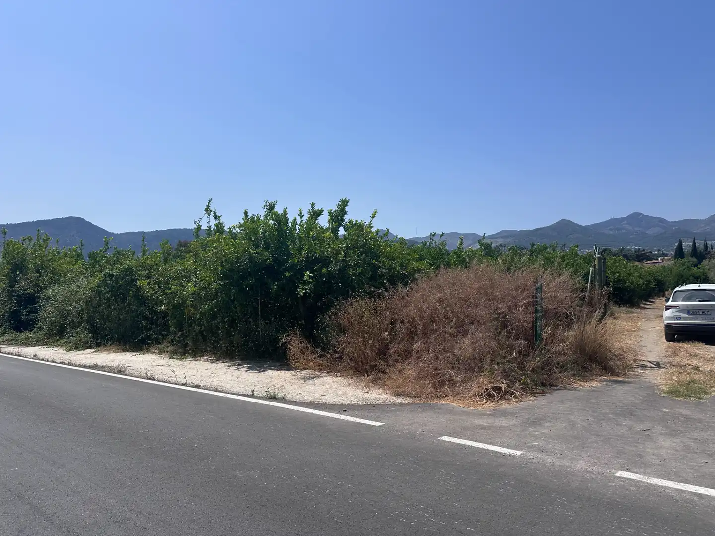 Terreno rustico in vendita a Buenavista - Lauro Golf, imagen 8