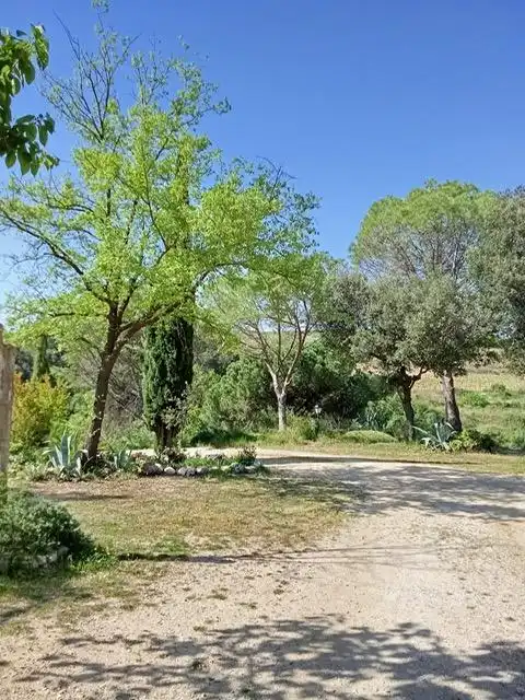 Vista exterior de Casa o xalet en venda en Sant Llorenç d'Hortons amb Calefacció, Jardí privat i Terrassa