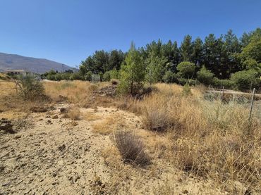 Terrain résidentiel à vendre à Loja