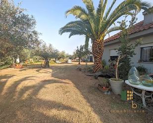 Finca rústica en venda en Don Benito amb Piscina