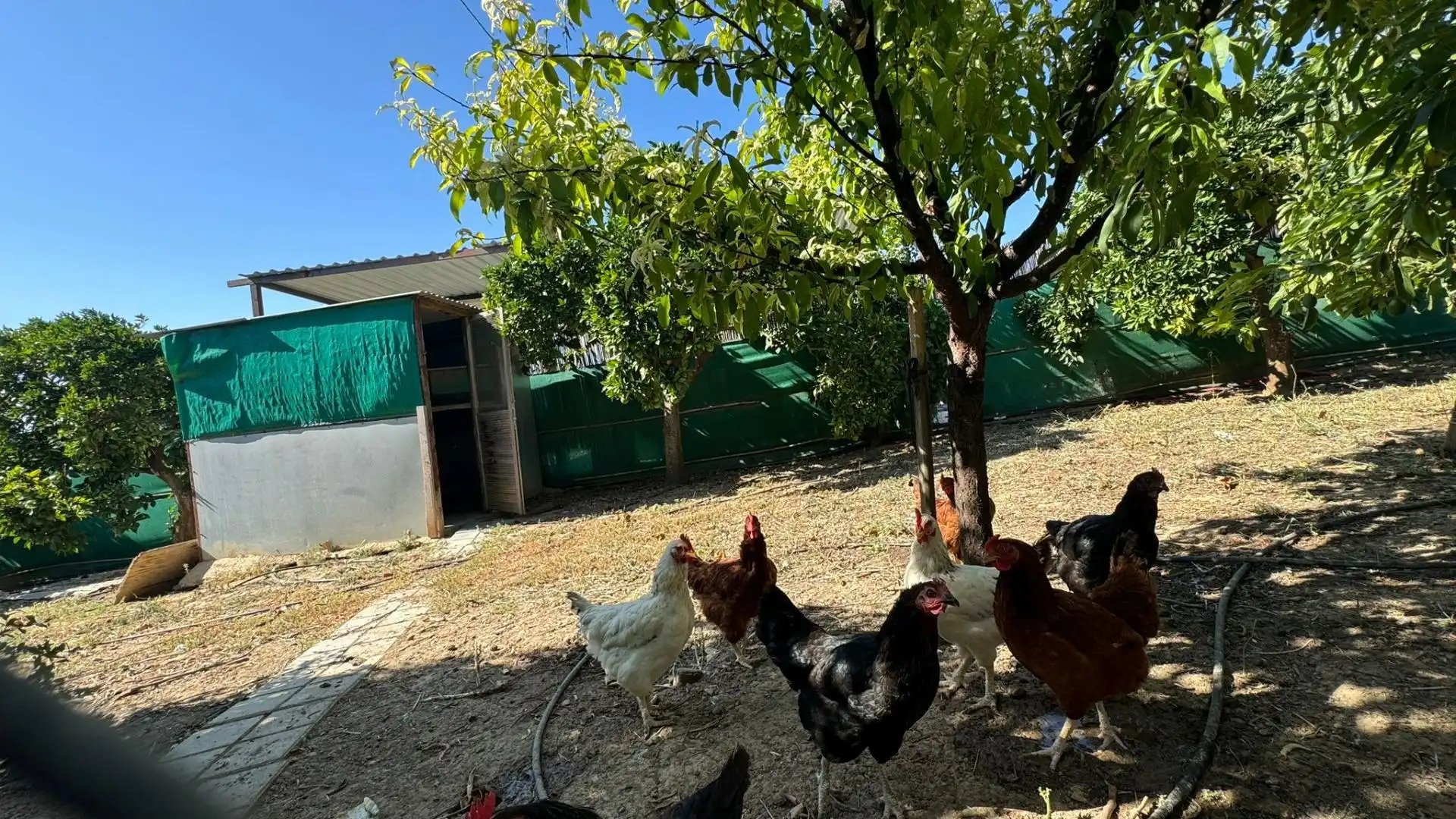 Terreno rustico in vendita a Capellanía - Retamar, imagen 2