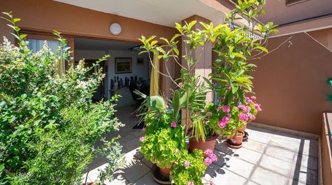 Foto 2 de Ático en venta en Camp d'en Serralta, Palma de Mallorca