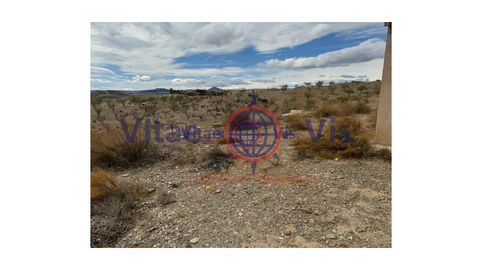 FINCA DE SECANO EN ZARZALICO DE 35.000 M2 CON CASETA DE 40 M2 PARA APEROS CON CHIMENEA, image 5