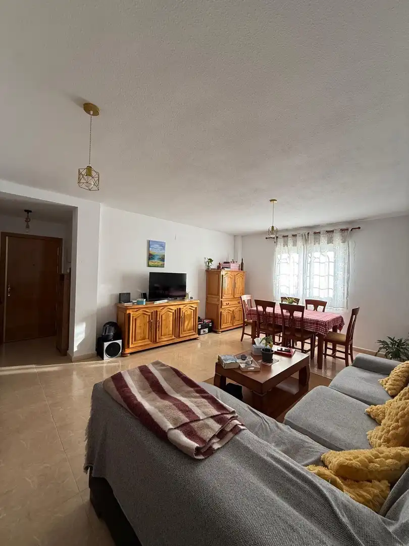 Sala de estar de Piso en venta en Villaseca de la Sagra con Aire acondicionado y Jardín privado